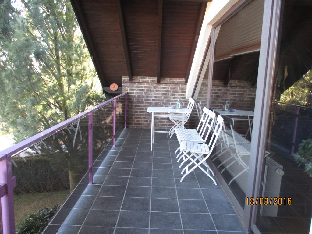 Ferienwohnung Virginija Ditscheid Luaran gambar