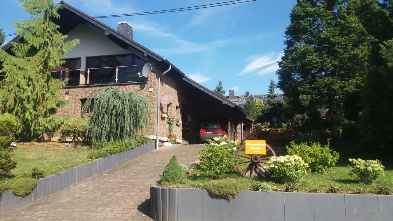 Ferienwohnung Virginija Ditscheid Luaran gambar