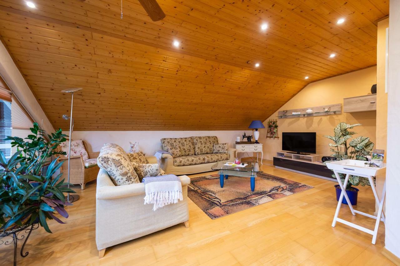 Ferienwohnung Virginija Ditscheid Luaran gambar